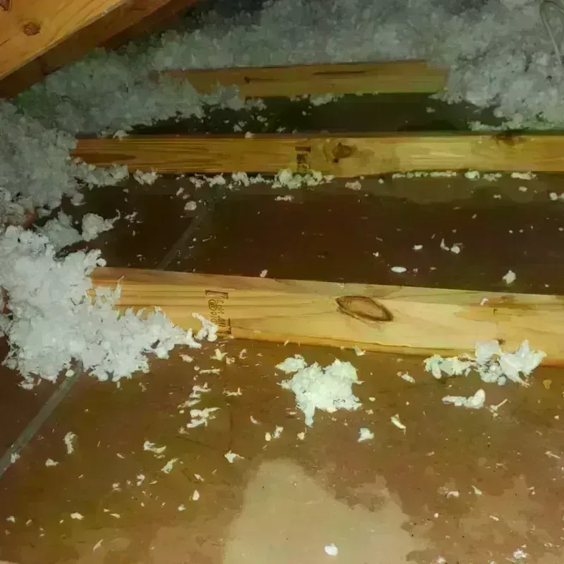 Attic Water Damage in Bells, TN